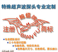 特殊超聲探頭專業(yè)定制