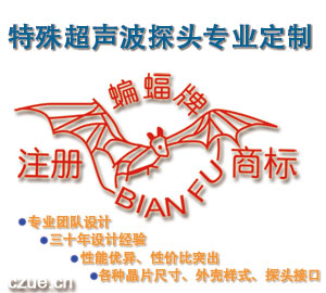 特殊超聲探頭專業(yè)定制